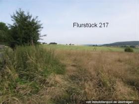 Propiedad de la tierra / forestal Subasta judicial en Sinzig, Alemania Propiedad de la tierra / forestal Subasta judicial en Sinzig, Alemania