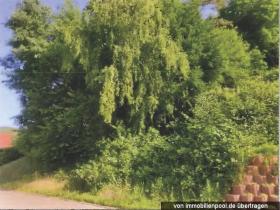 Plots / Land  Foreclosure Auction in Bann, Germany