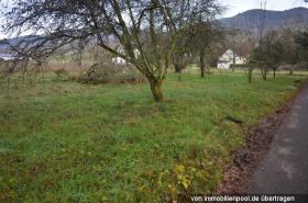 Eiendom land / skogbruk Tvangsauksjon i Sasbach, Tyskland