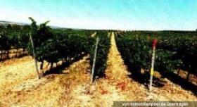 Property land / bosbouw Foreclosures in Bingen am Rhein, Germany Property land / bosbouw Foreclosures in Bingen am Rhein, Germany
