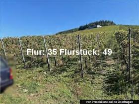 Plots / Land Foreclosure Auction in Enkirch, Germany Plots / Land Foreclosure Auction in Enkirch, Germany