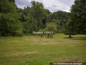 Property land/forestry Foreclosure Auction in Baden-Baden, Germany Property land/forestry Foreclosure Auction in Baden-Baden, Germany