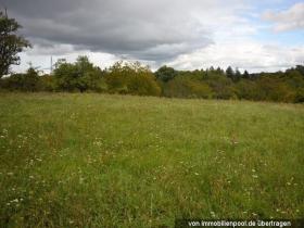 Property land/forestry Foreclosure Auction in Baden-Baden, Germany Property land/forestry Foreclosure Auction in Baden-Baden, Germany