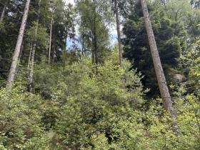 agricole Surface Vente forcée à Ober Sankt Georgen, Autriche